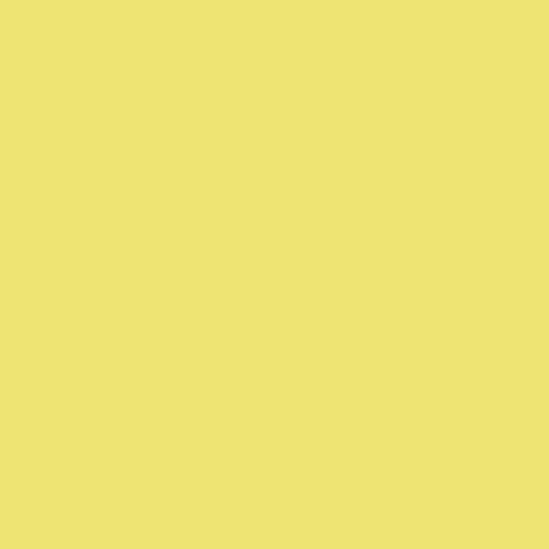 Kobra High Pressure Spray Paint - Parmesan, swatch