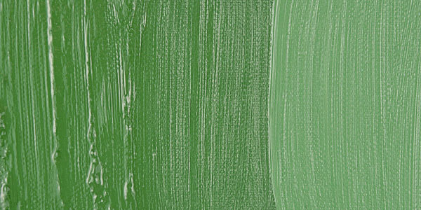 Maimeri Puro Oil Paint - Chrome Oxide Green swatch