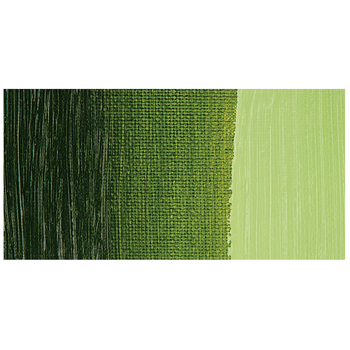 Blick Studio Oil Color - Sap Green swatch