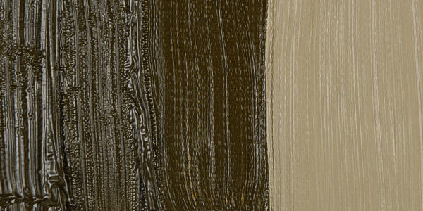 Maimeri Classico Oil Paint - Raw Umber swatch