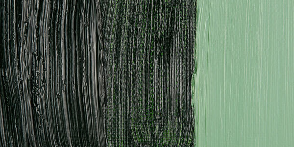 Maimeri Classico Oil Paint - Sap Green swatch