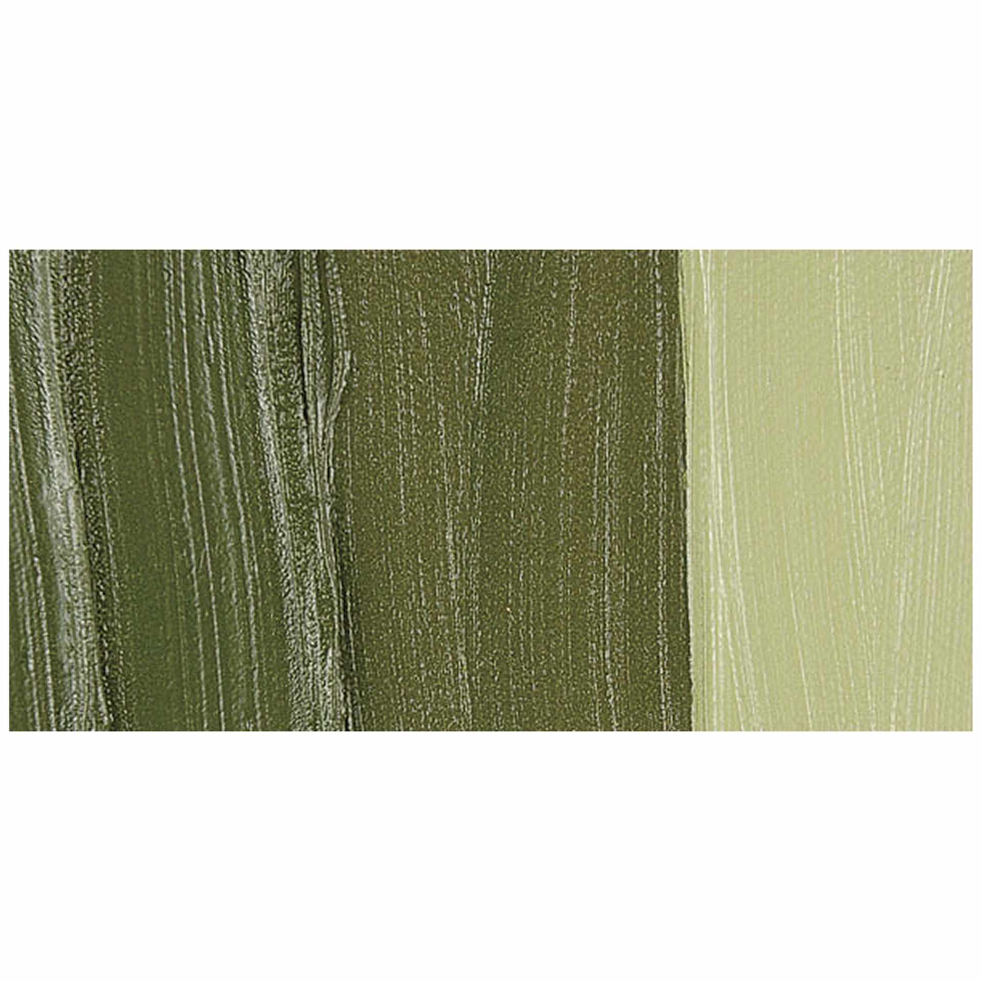 Williamsburg Handmade Oil Paint - Earth Green swatch