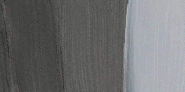 Williamsburg Handmade Oil Paint - Graphite Gray swatch