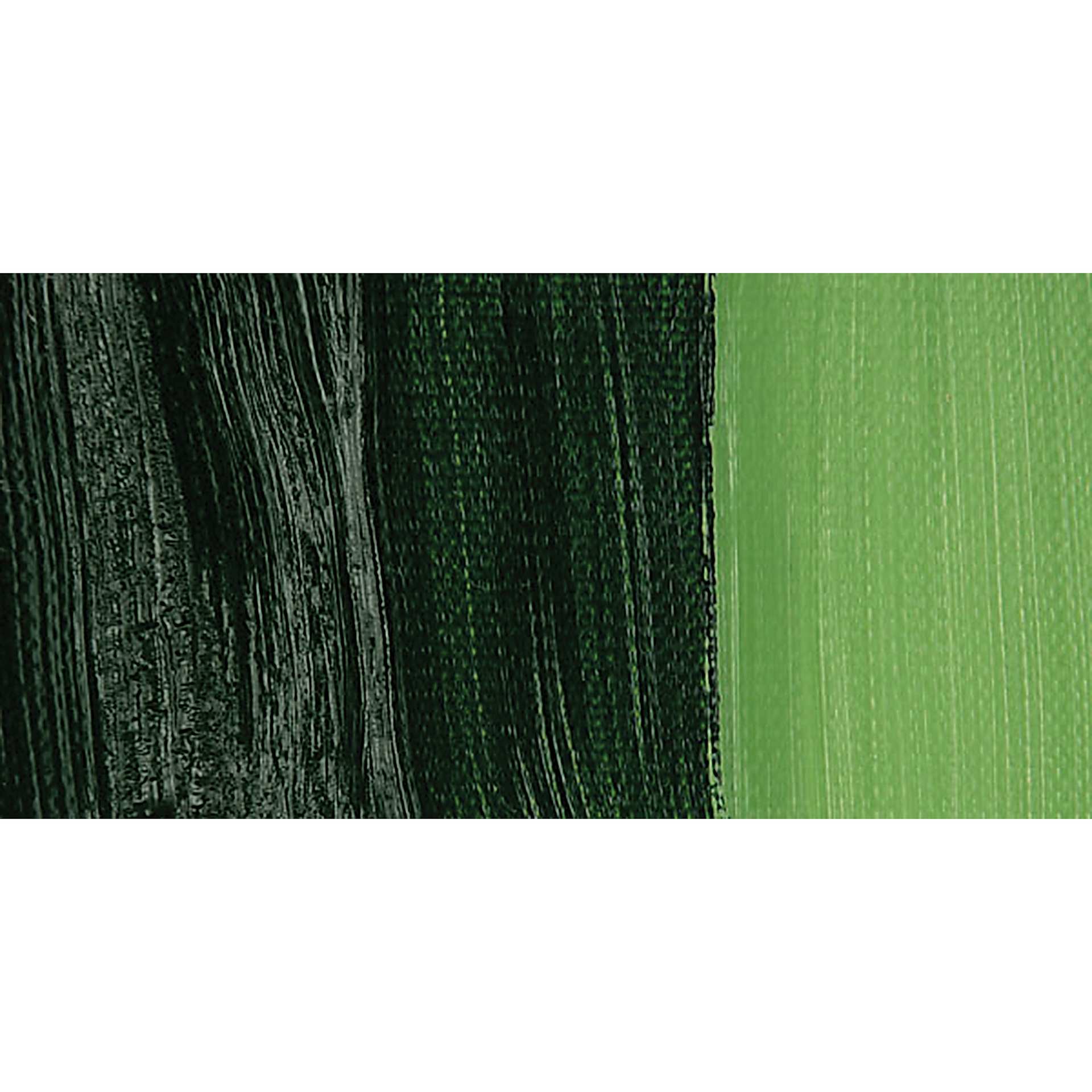 Gamblin 1980 Oil Paint - Sap Green swatch
