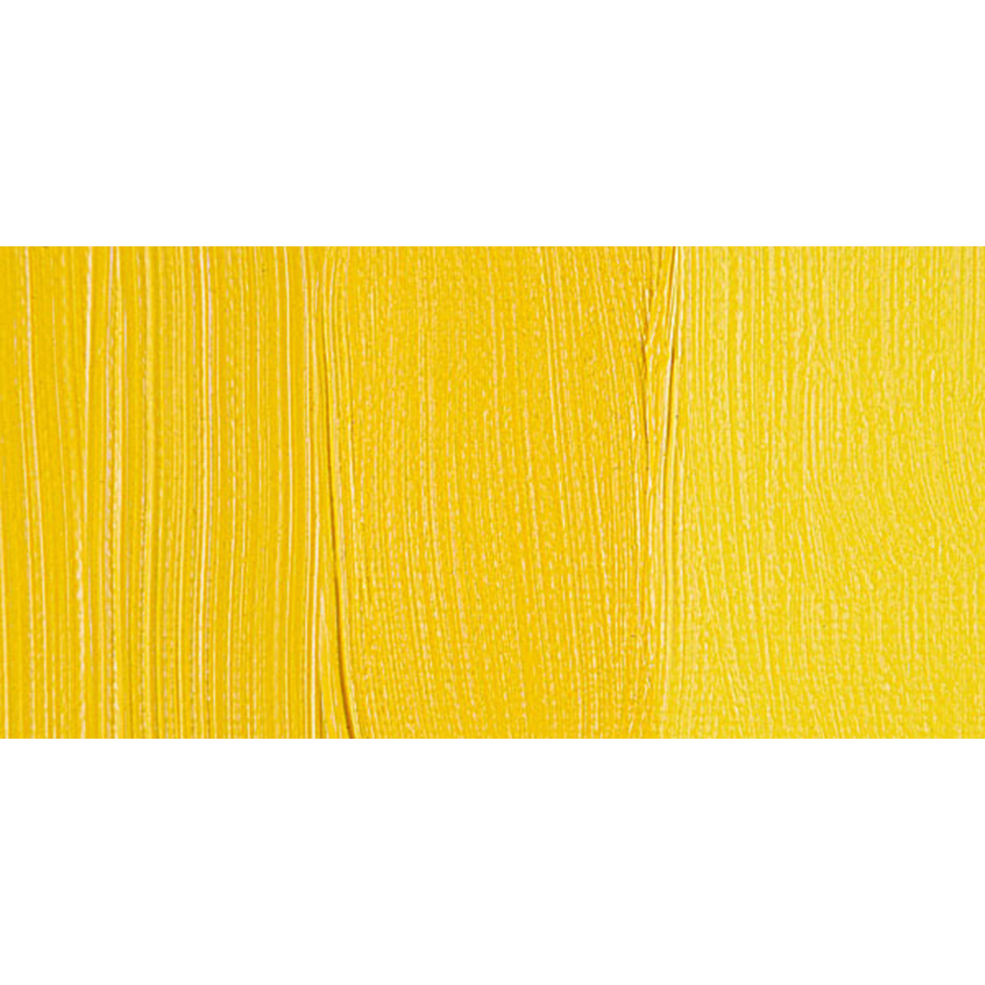Blick Artists' Oil Paint - Cadmium Yellow Medium swatch