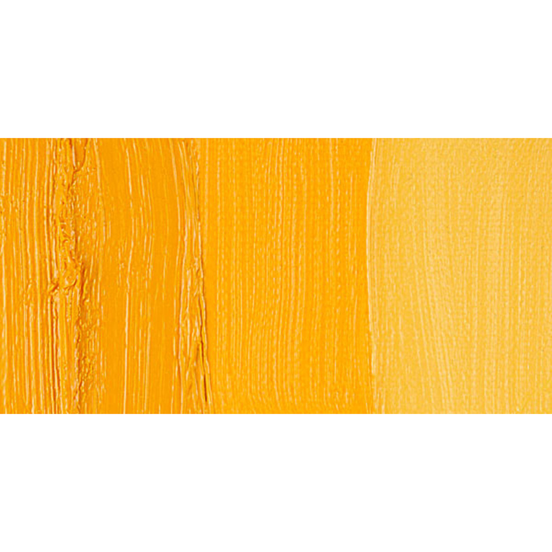 Blick Artists' Oil Paint - Cadmium Yellow Deep swatch