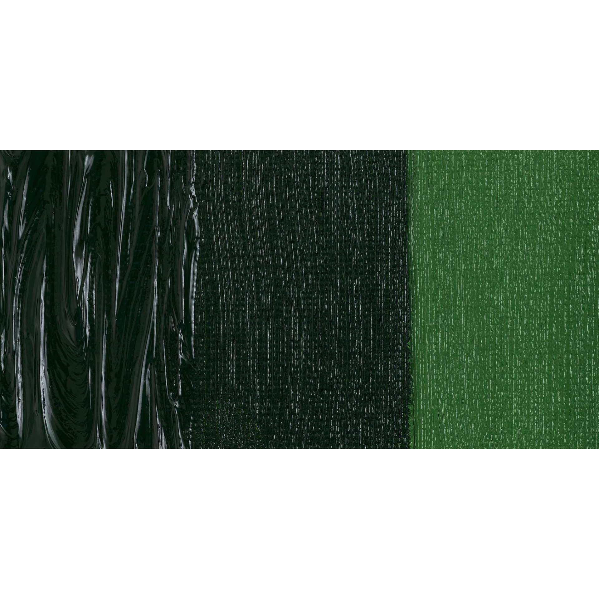 Michael Harding Artists Oil Color - Hookers Green swatch
