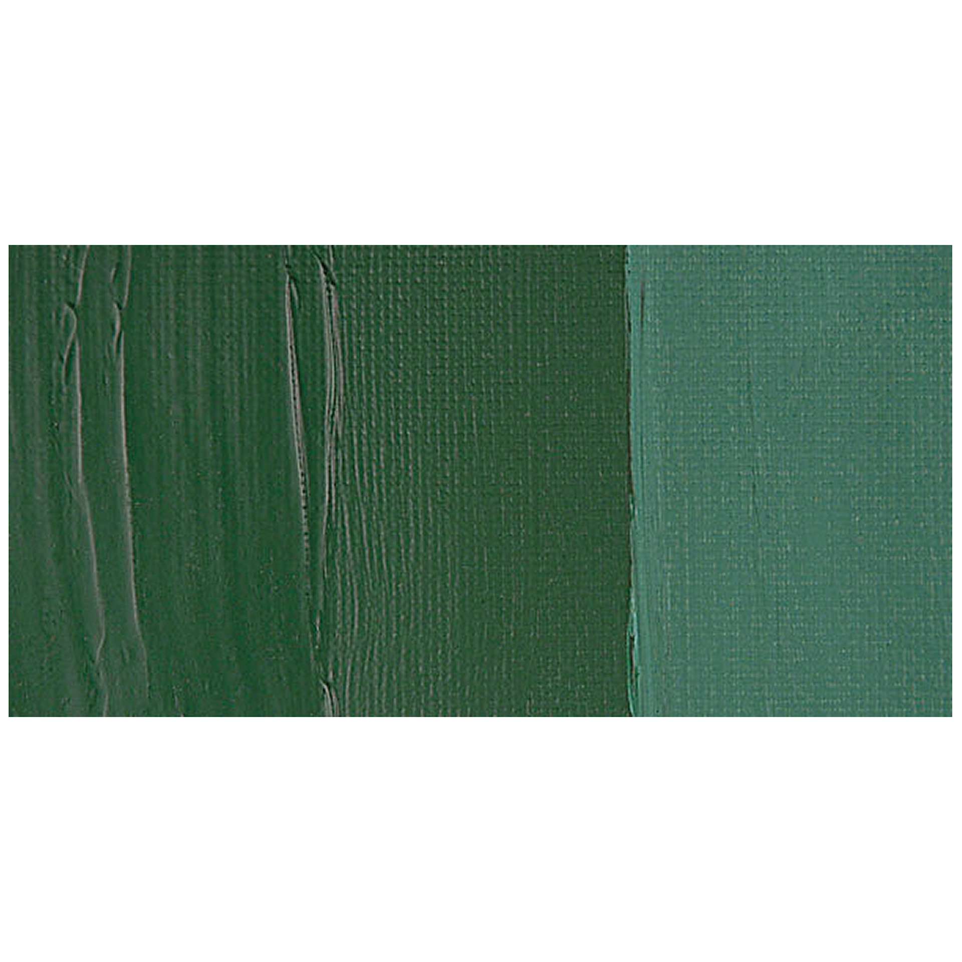 Chroma Atelier Interactive Artists' Acrylic Paint - Terre Verte swatch