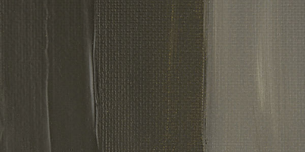 Chroma Atelier Interactive Artists' Acrylic Paint - Raw Umber swatch