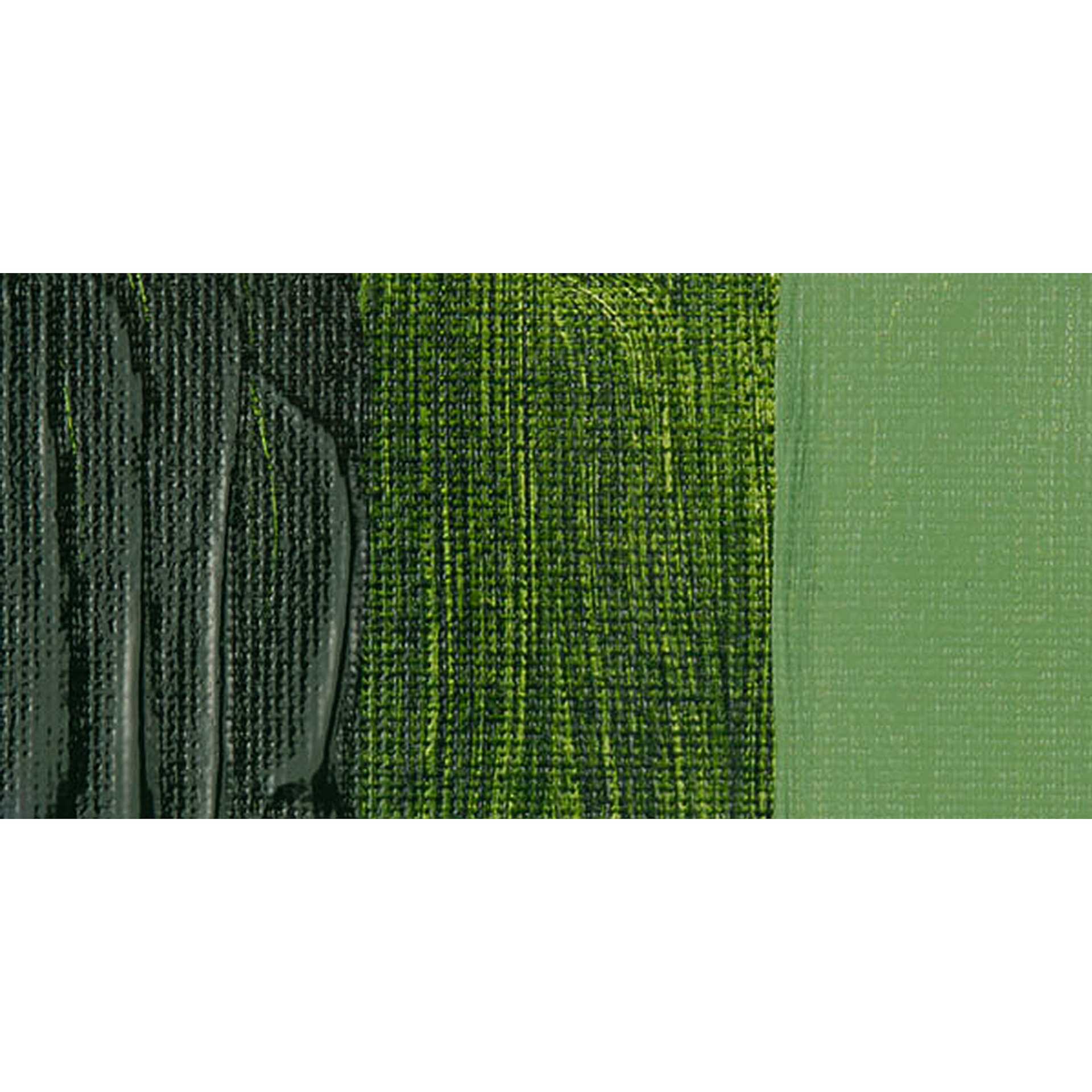Golden Open Acrylic Paint - Sap Green Hue swatch
