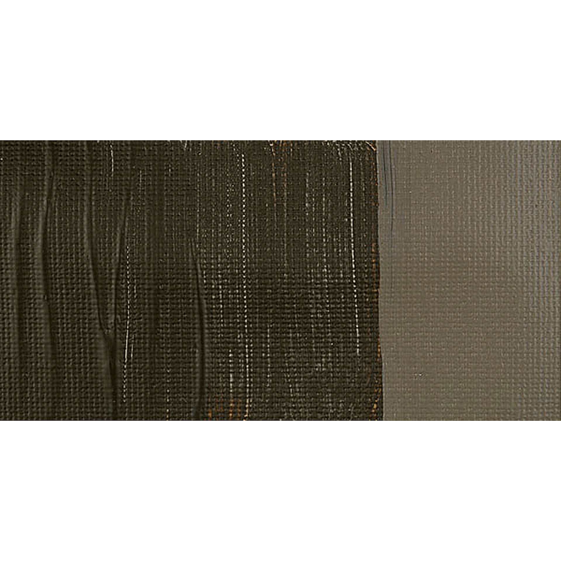 Golden Open Acrylic Paint - Raw Umber swatch