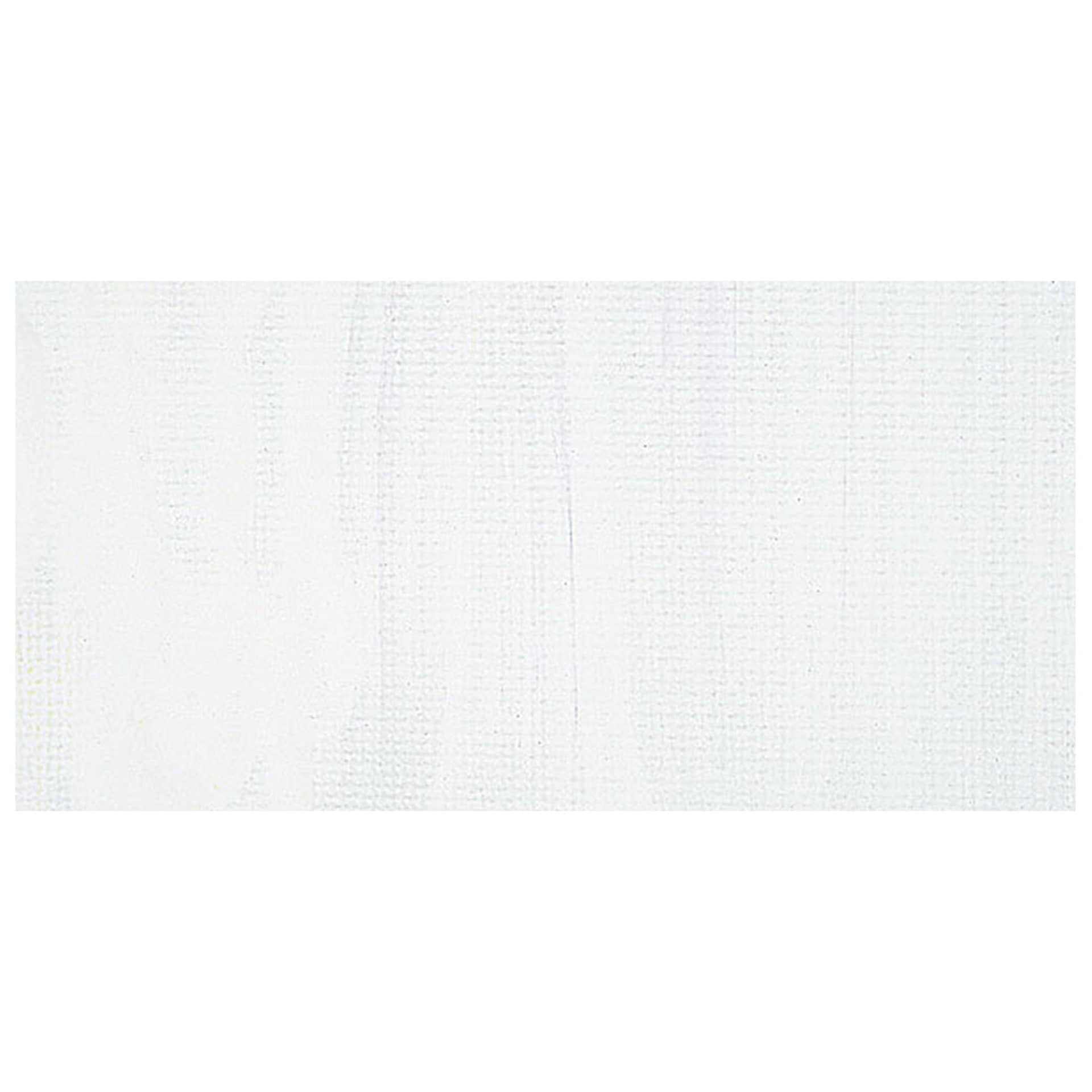 Chroma Acrylic Mural Paint - Polar swatch