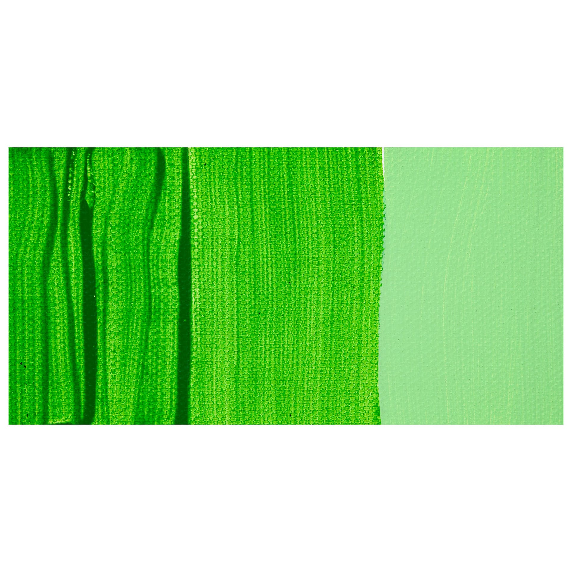 Chroma Acrylic Mural Paint - T-Rex swatch