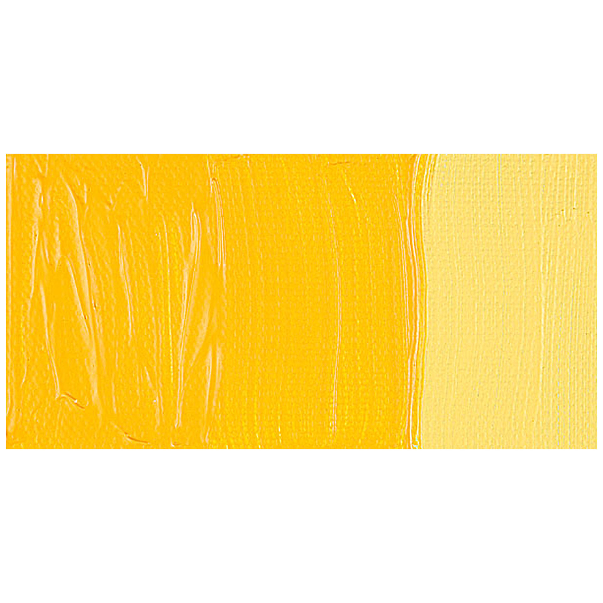 Blick Studio Acrylic Paint - Cadmium Yellow Medium Hue swatch