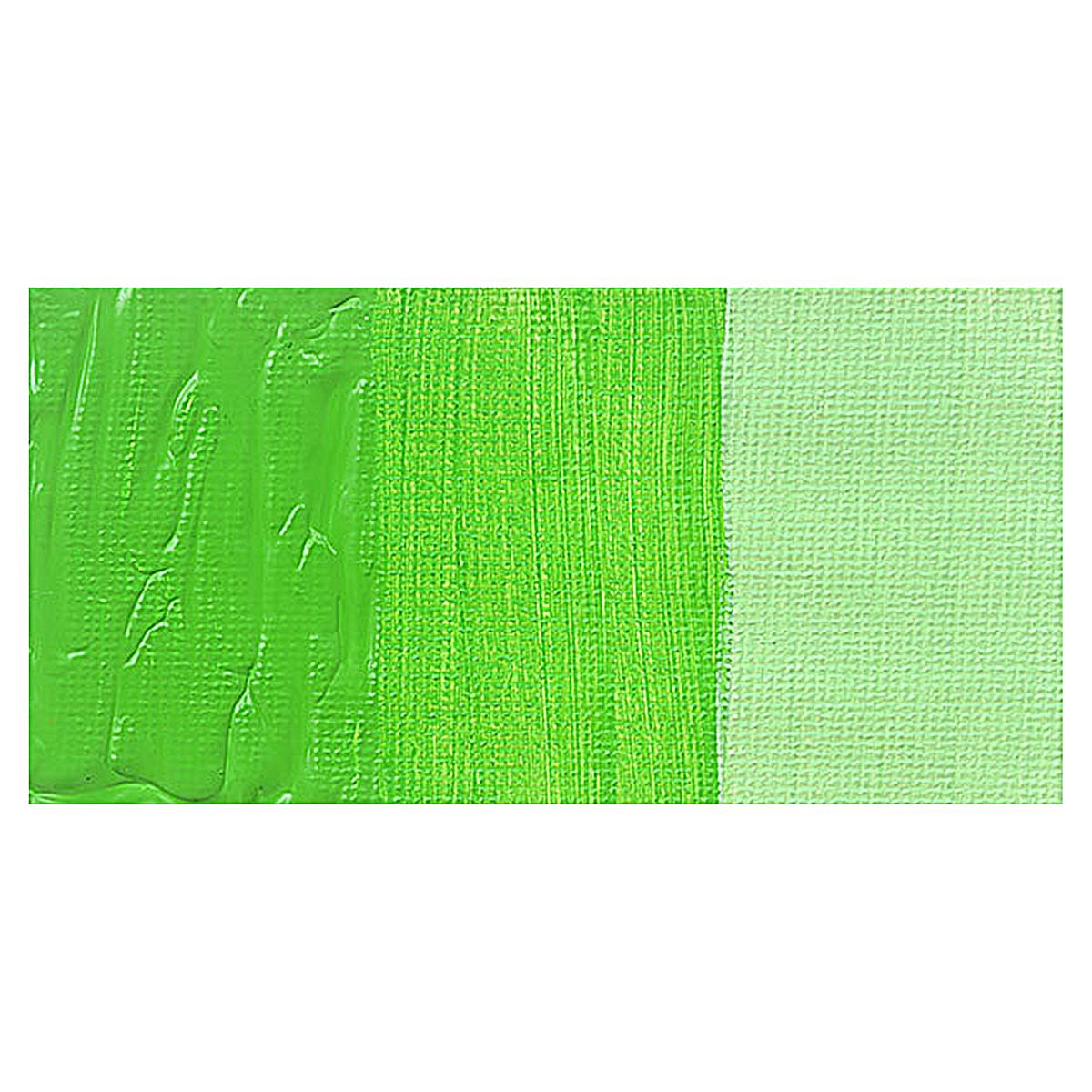 Holbein Heavy Body Artist Acrylic Paint - Light Green swatch