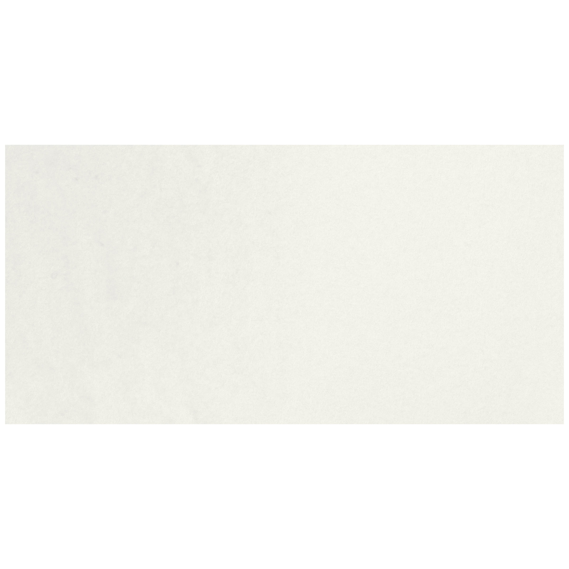Kuretake Gansai Tambi Watercolor Pan - Gofun White swatch