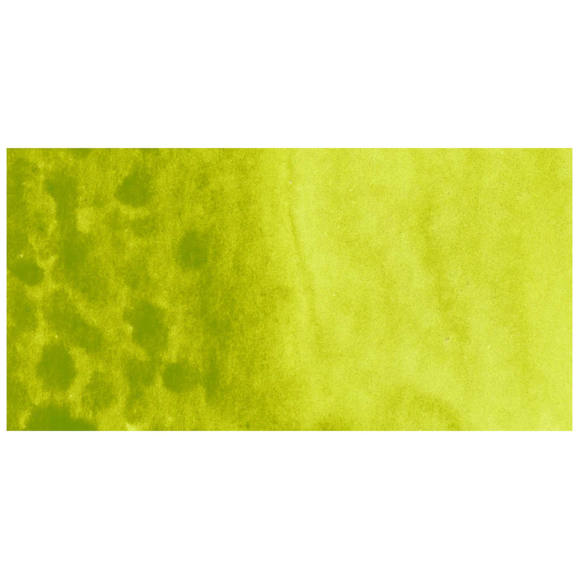 Kuretake Gansai Tambi Watercolor Pan - Greenish Yellow swatch
