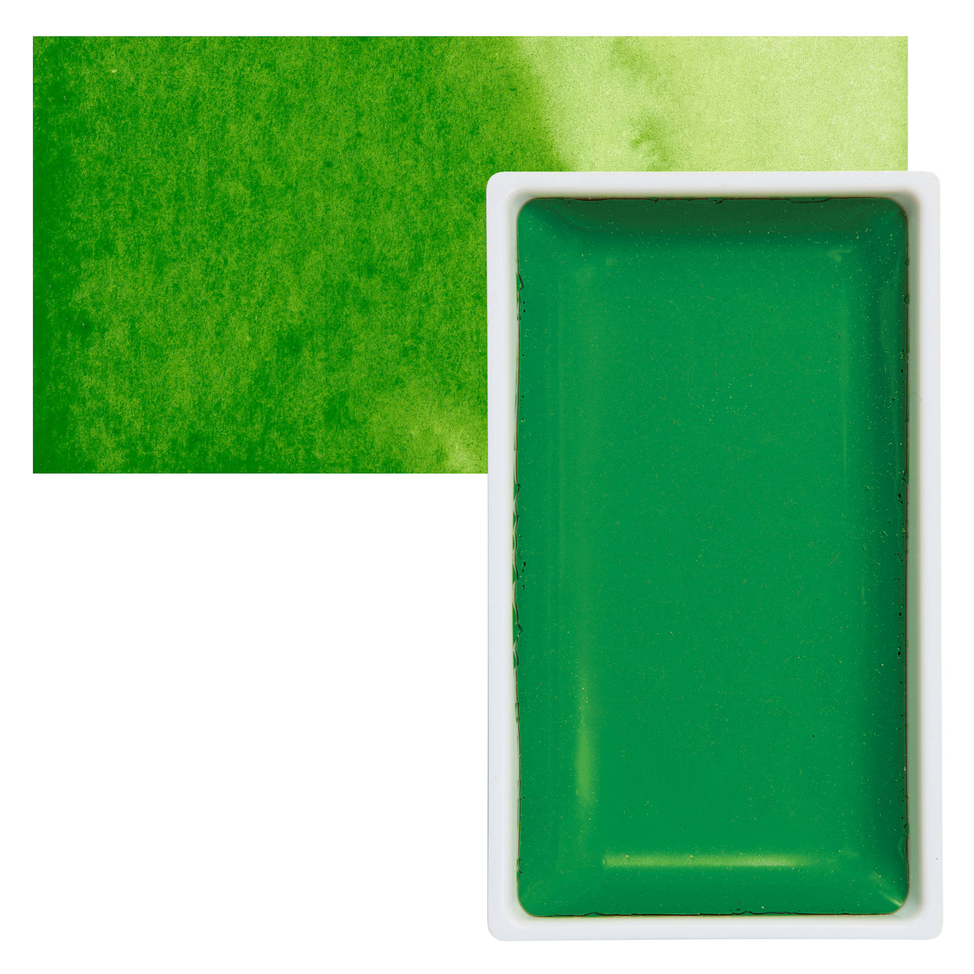 Kuretake Gansai Tambi Watercolor Pan - Sap Green Light pan and swatch