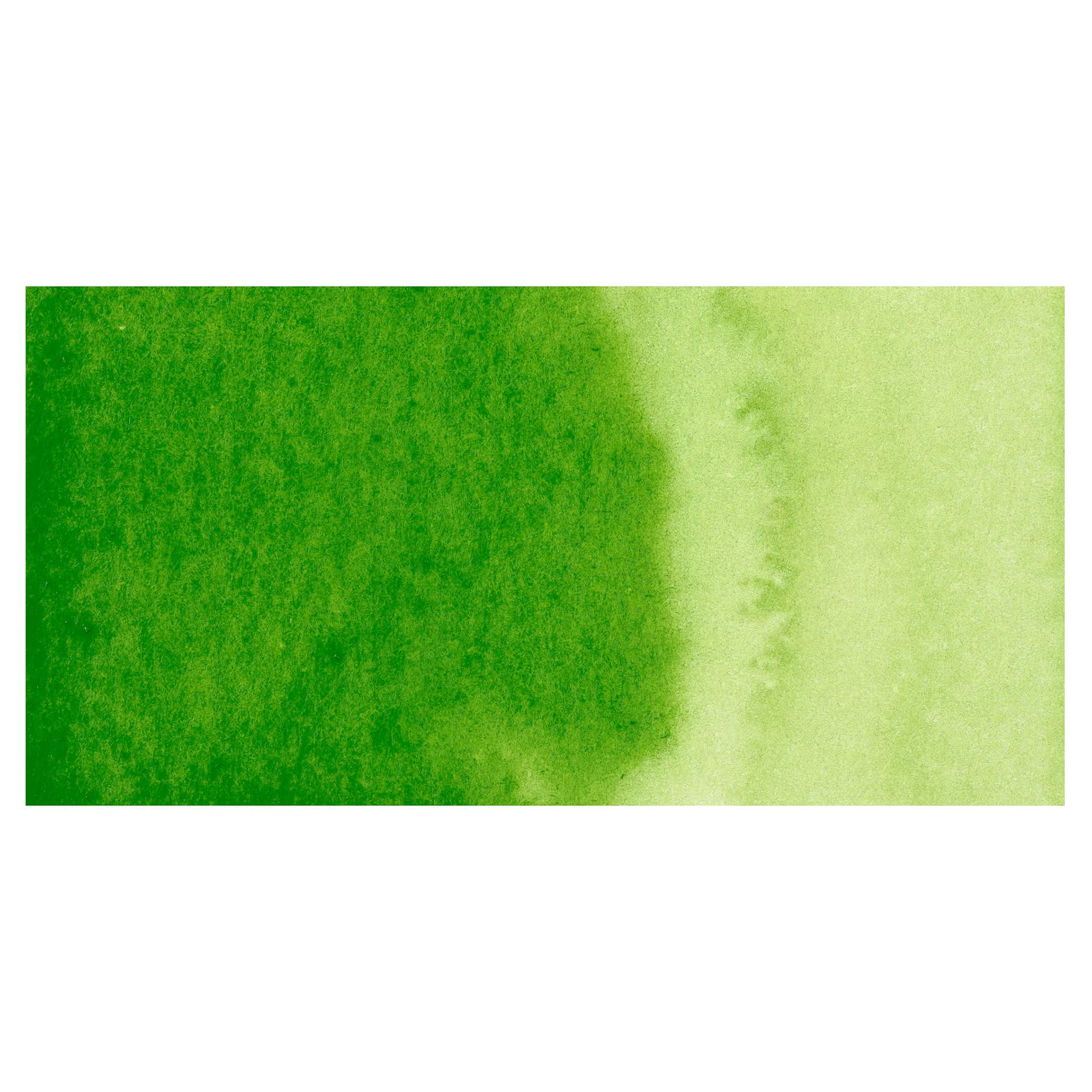 Kuretake Gansai Tambi Watercolor Pan - Sap Green Light swatch
