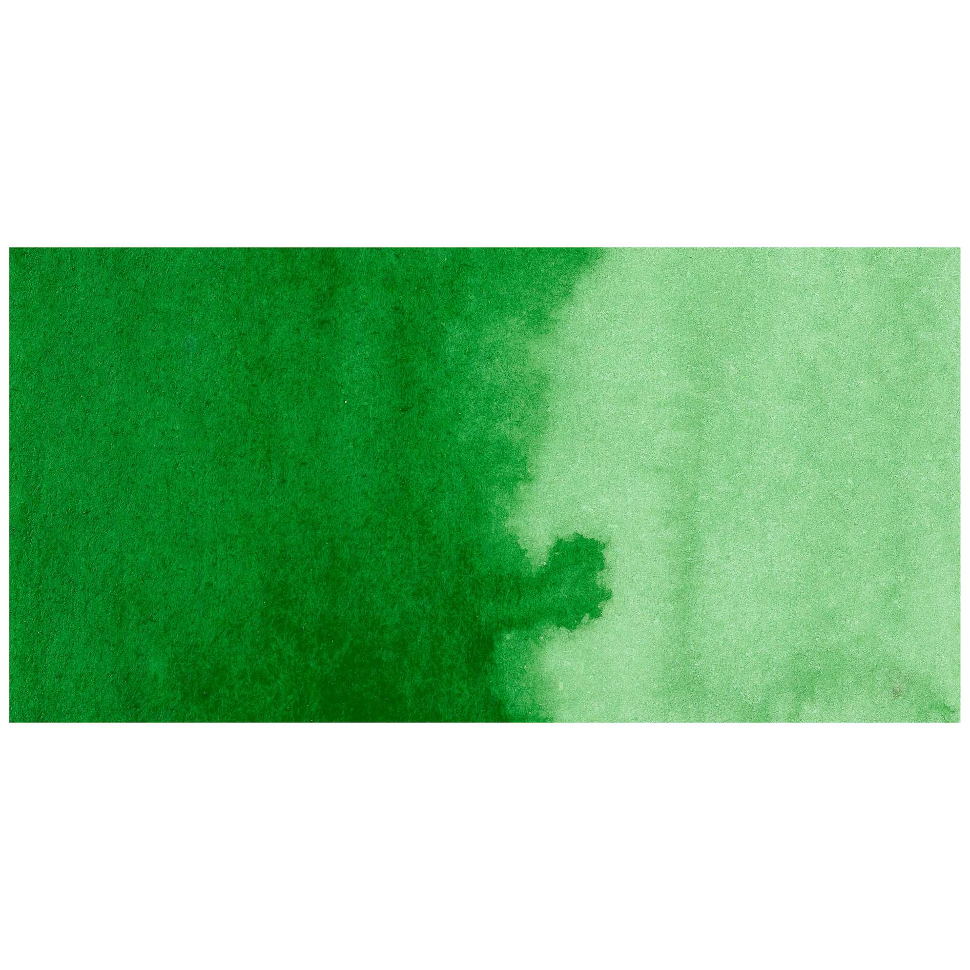 Kuretake Gansai Tambi Watercolor Pan - Hooker's Green swatch