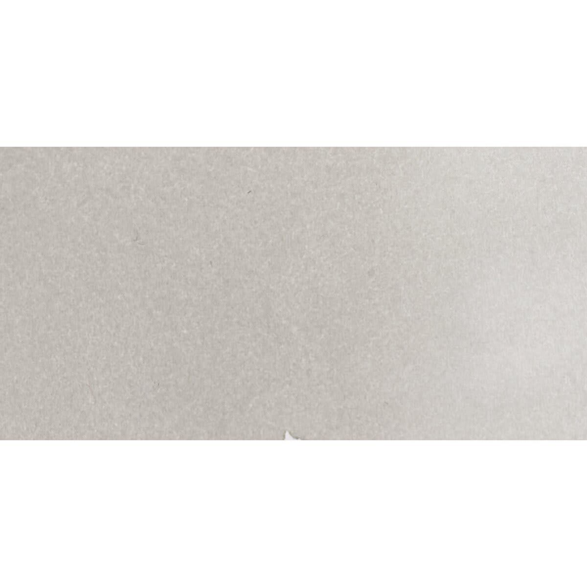 Ecoline Liquid Watercolor with Dropper - Warm Gray Light swatch