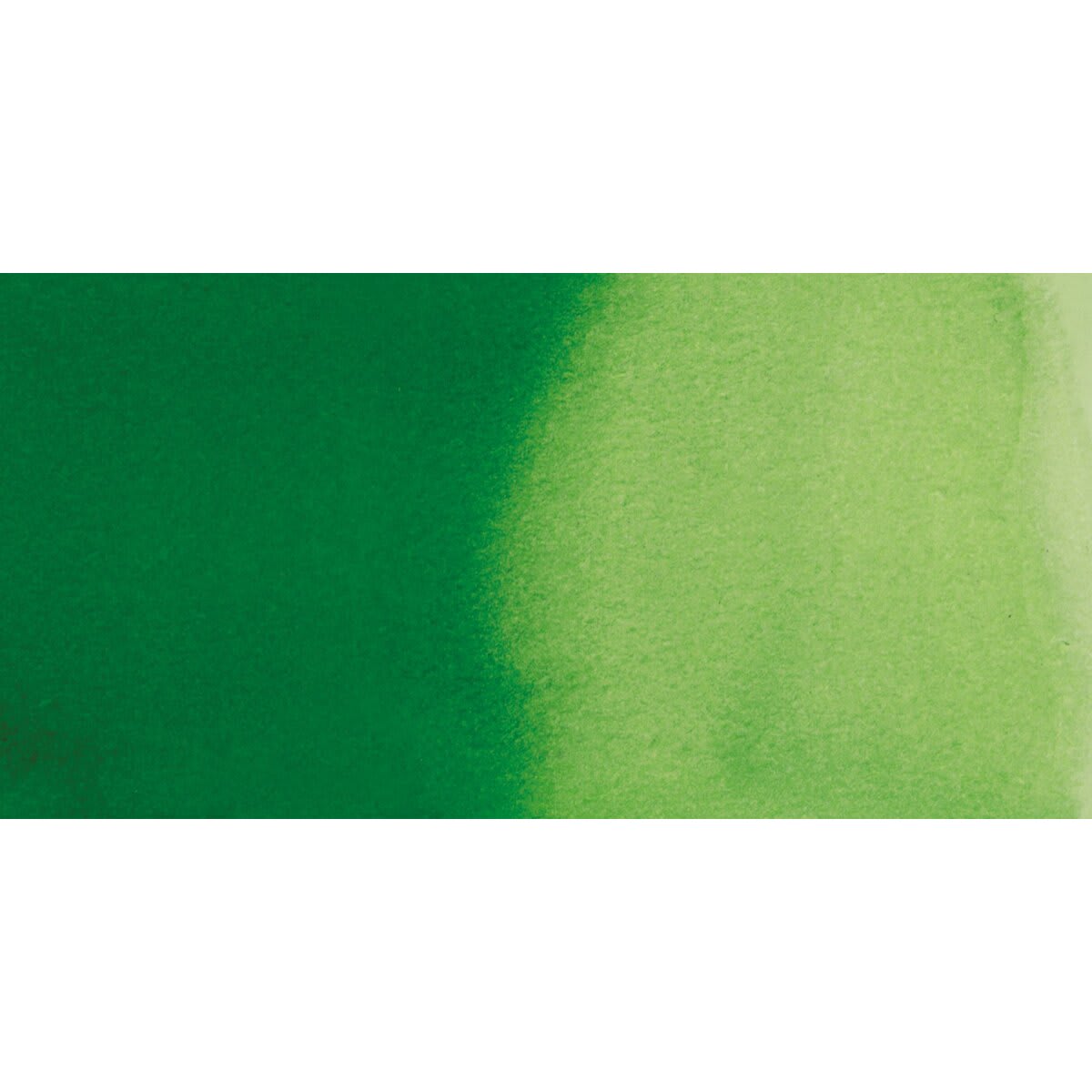 Ecoline Liquid Watercolor with Dropper - Forest Green swatch