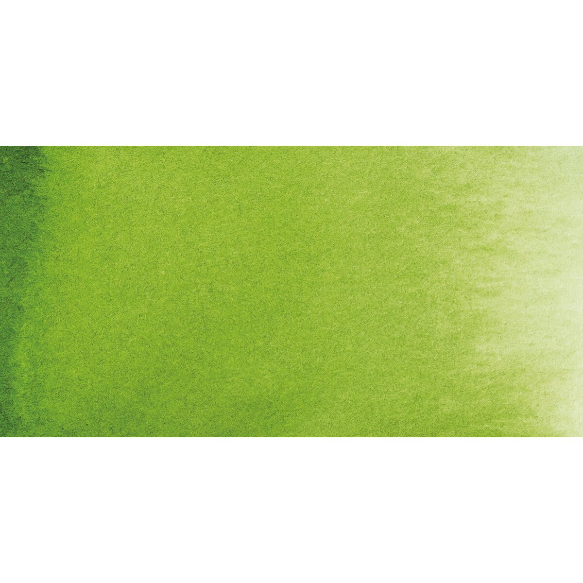 Daniel Smith Extra Fine Watercolor Half Pan - Sap Green swatch