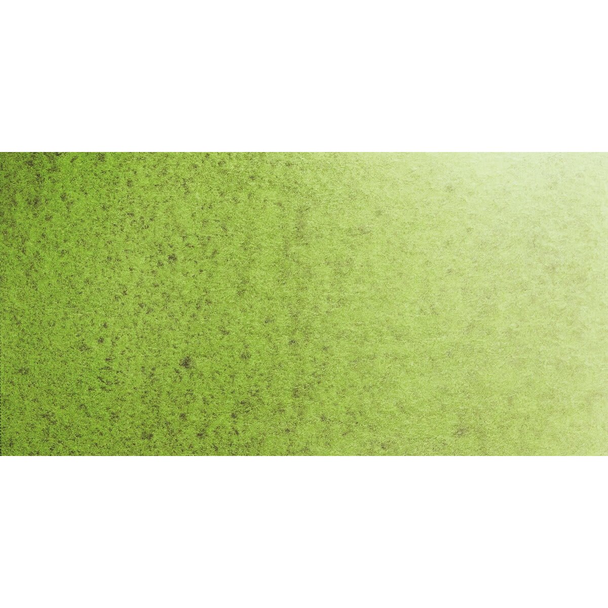 Daniel Smith Extra Fine Watercolor Half Pan - Green Apatite Genuine swatch