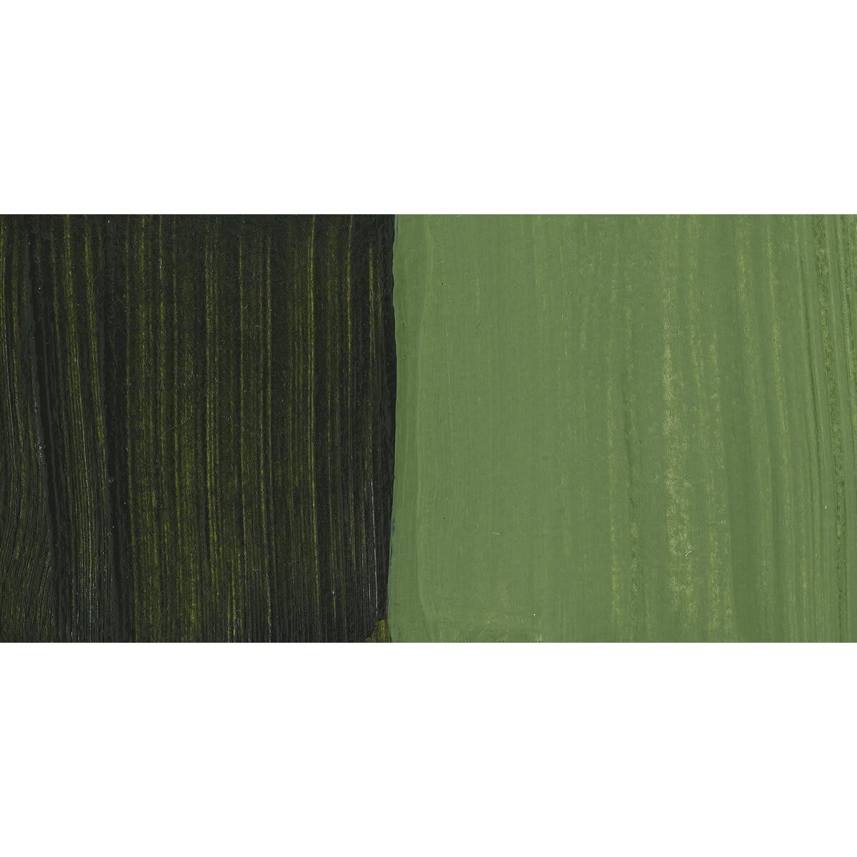 Matisse Fluid Acrylic - Australian Olive Green swatch