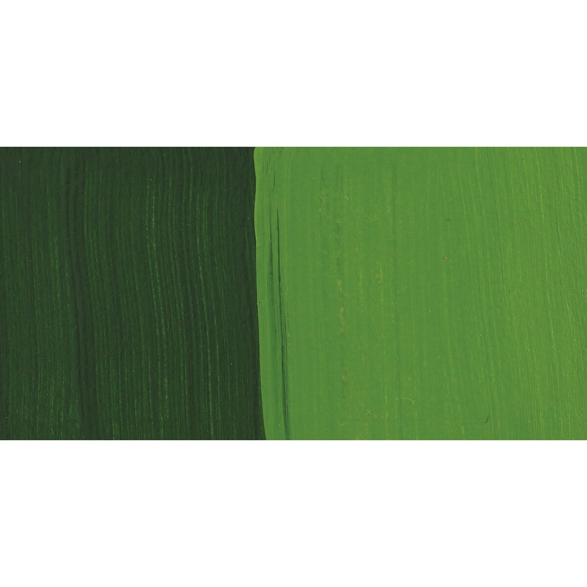 Matisse Fluid Acrylic - Australian Sap Green swatch