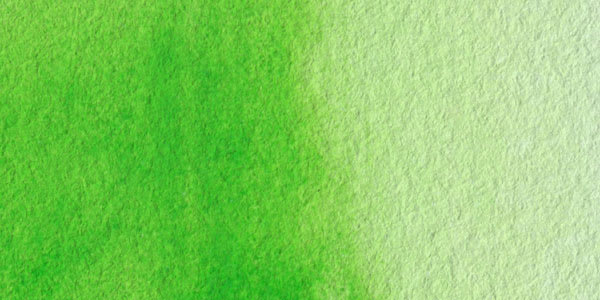 Rembrandt Artists' Watercolor - Permanent Yellow Green swatch
