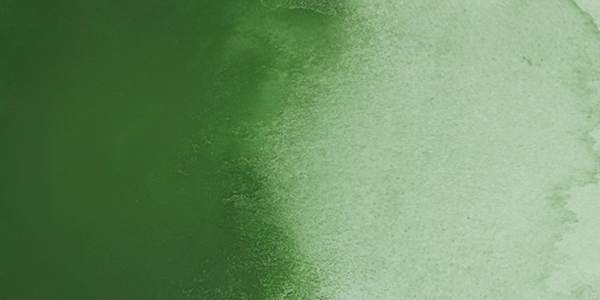 QoR Modern Watercolor - Chromium Oxide Green swatch