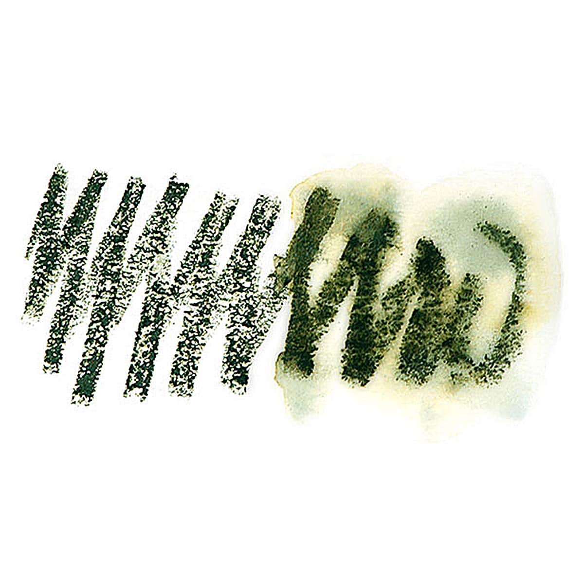 Daniel Smith Watercolor Stick - Undersea Green swatch