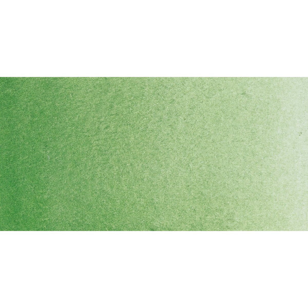 Rembrandt Watercolor Half Pan - Chromium Oxide Green swatch