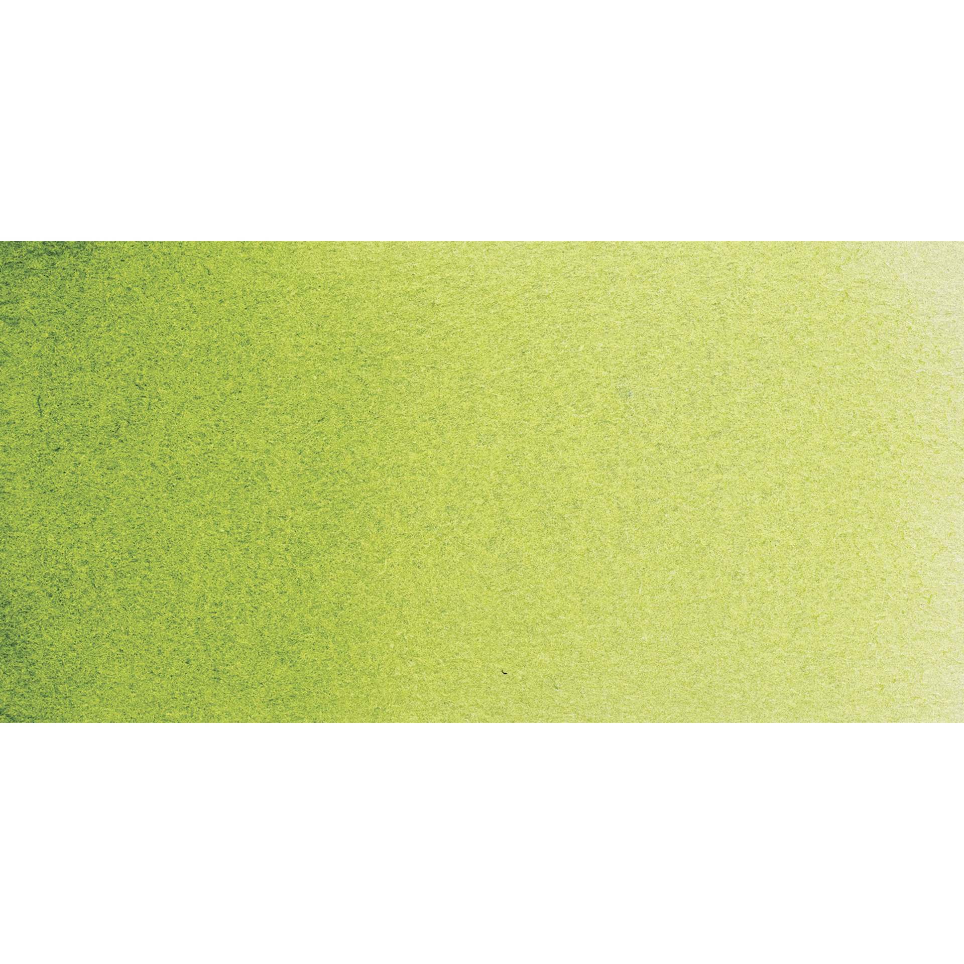 Daler-Rowney Aquafine Watercolor - Sap Green swatch