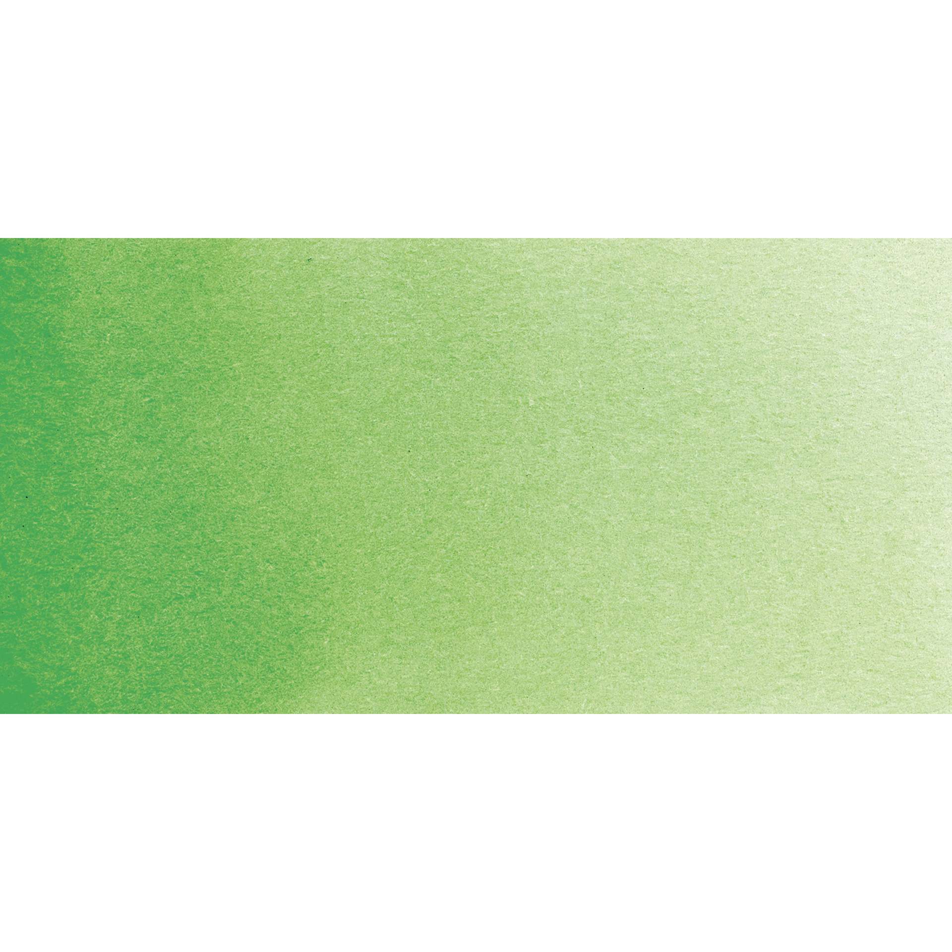 Daler-Rowney Aquafine Watercolor - Leaf Green swatch
