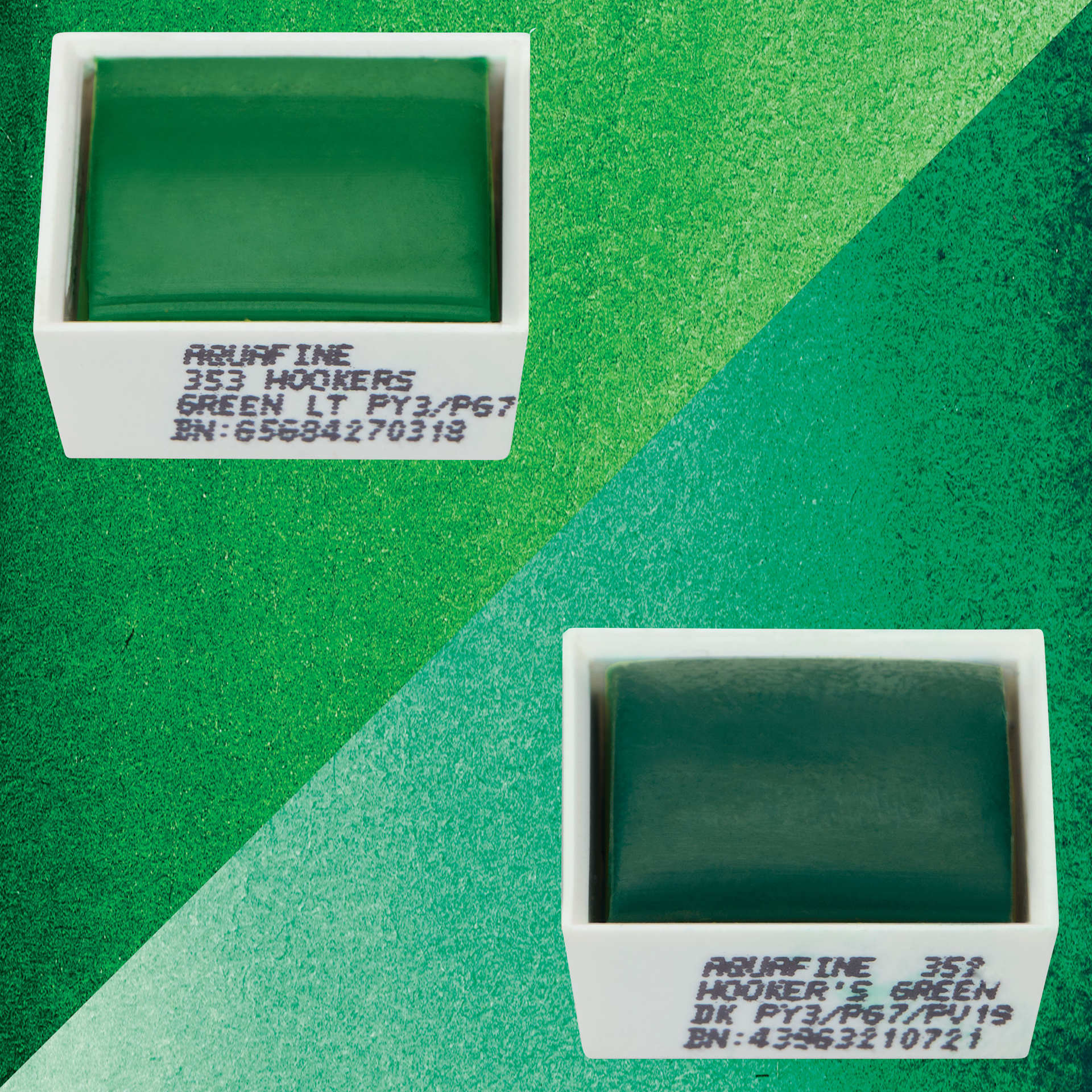Daler-Rowney Aquafine Watercolors - Set of 2, Hooker's Green Light and Hooker's Green Dark, Half Pans with swatches