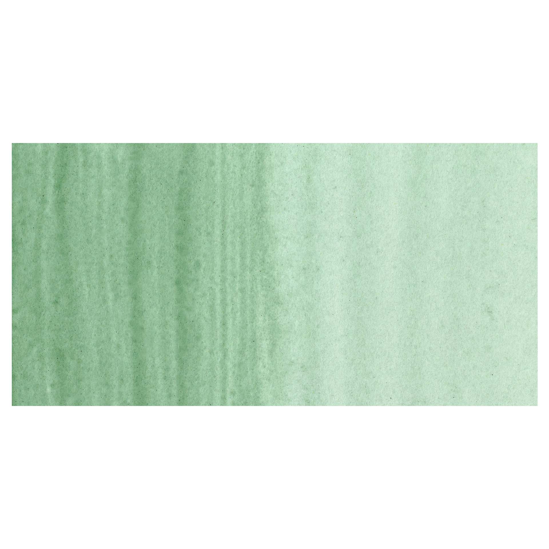 Michael Harding Artists Watercolor - Terre Verte swatch