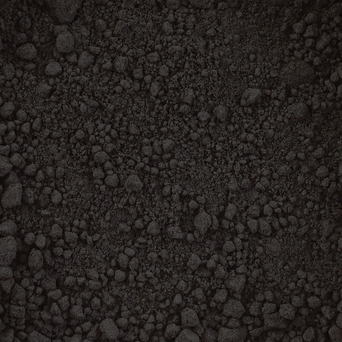 Three Little Twigs Tempera Powder Paint - Black (Close-up of pigment powder)
