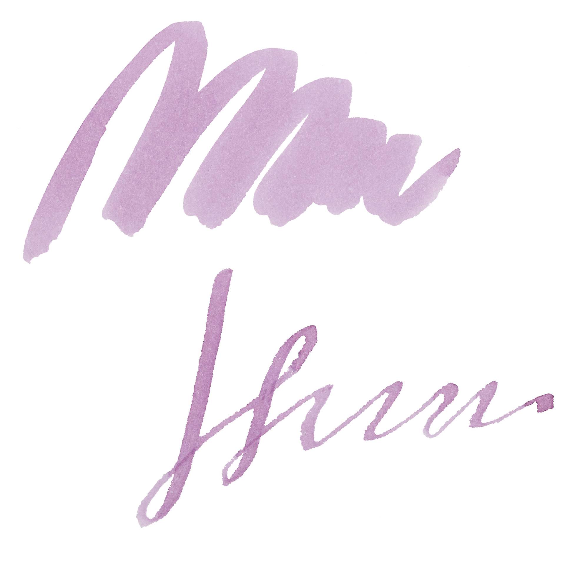 Ferris Wheel Press Fountain Pen Ink - Queen Allium, swatch