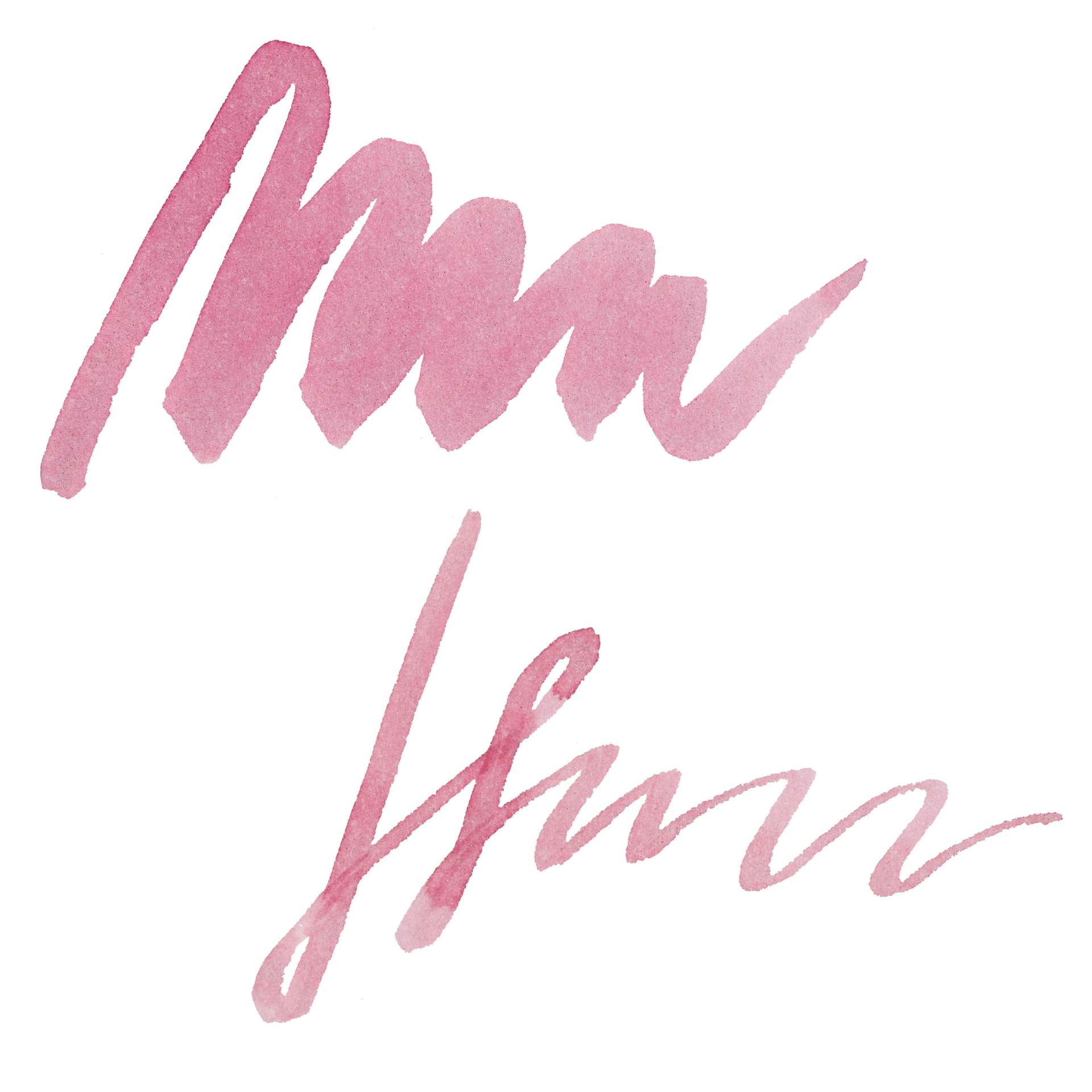 Ferris Wheel Press Ferritales Fountain Pen Ink - Billowing Blush, swatch