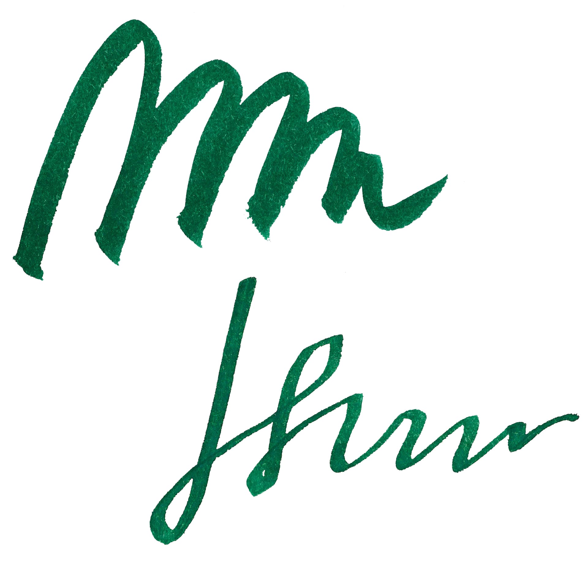 Tom's Studio Fountain Pen Ink - New Forest Green, swatch