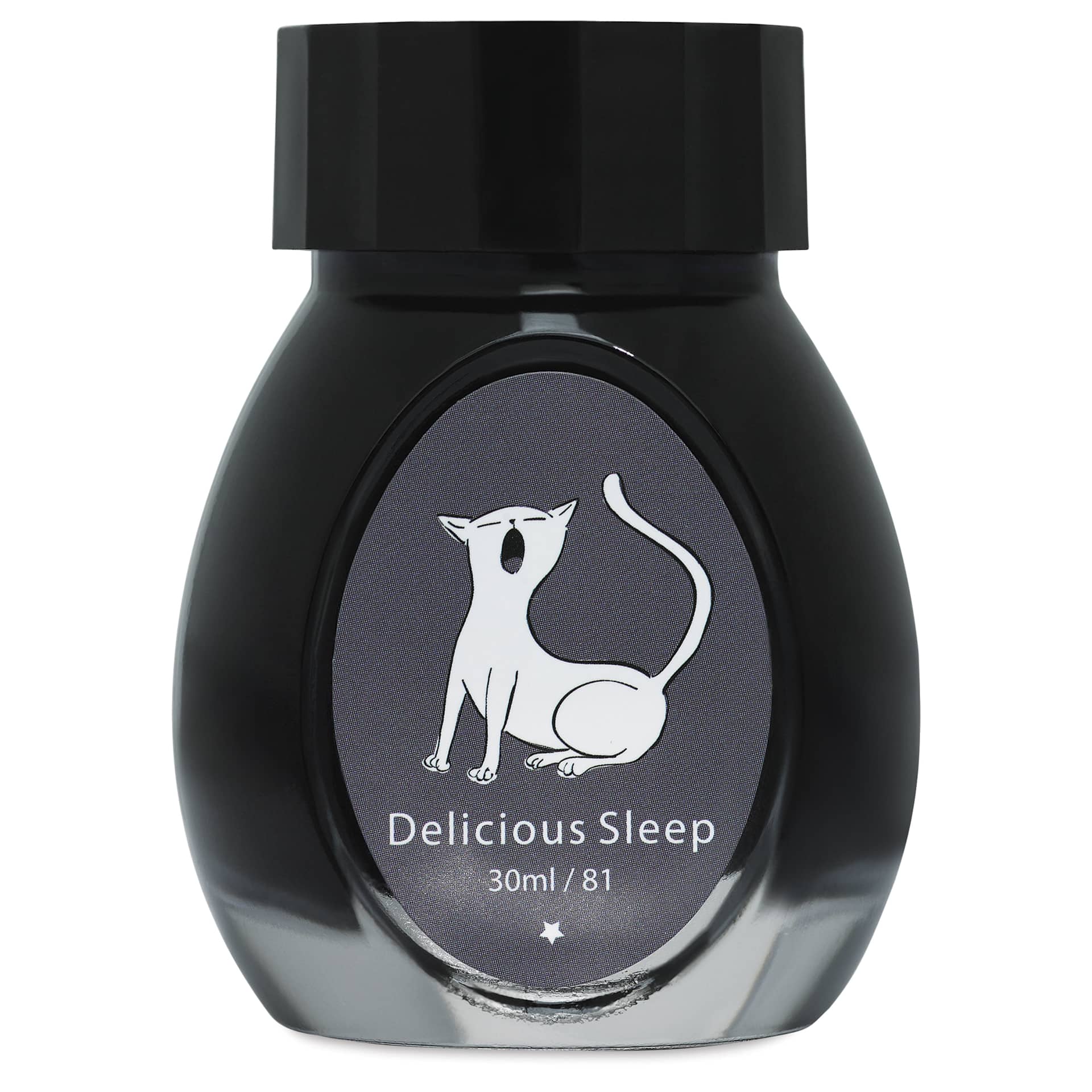 Colorverse Joy in the Ordinary Fountain Pen Ink - 81 Delicious Sleep, jar
