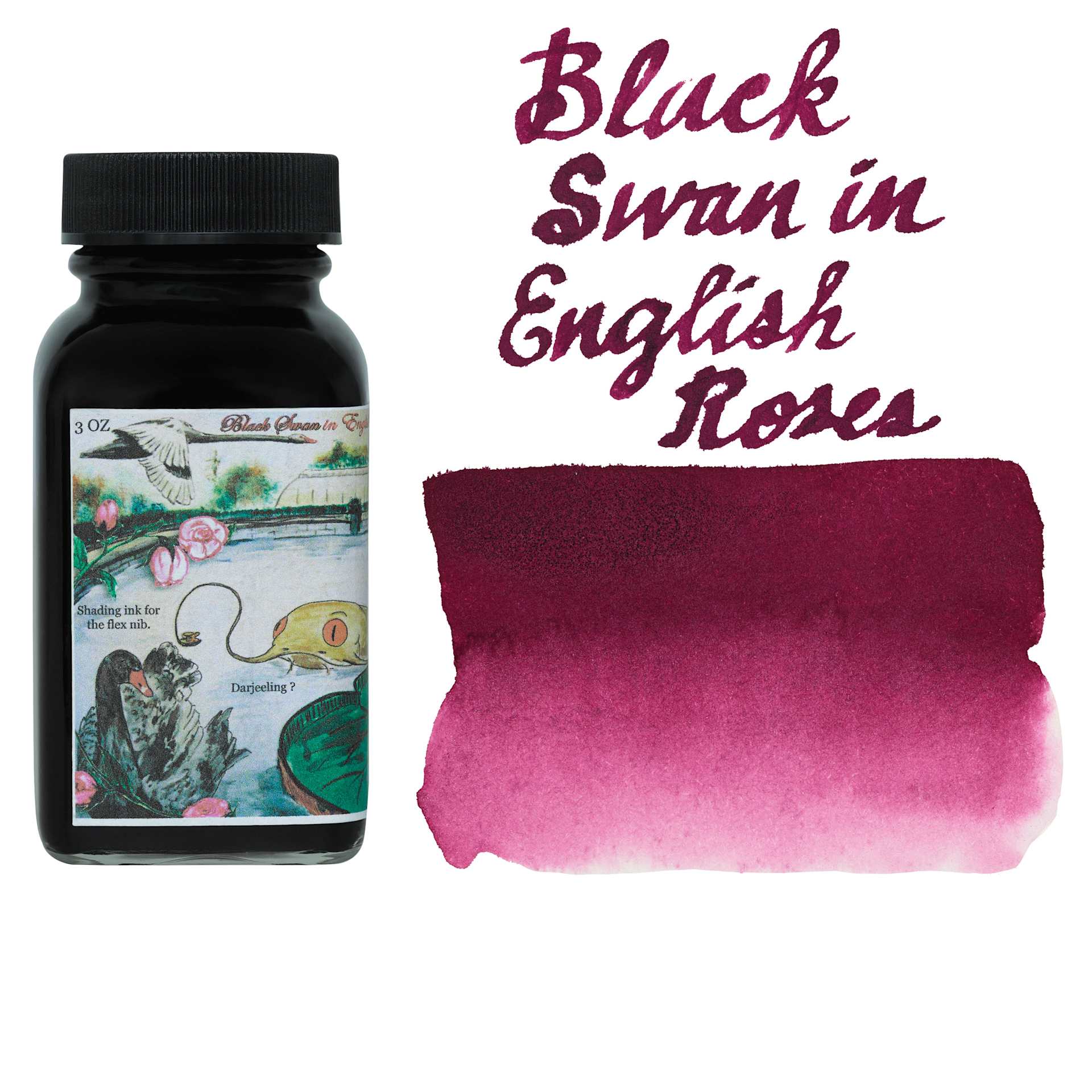 Noodler's Ink Fountain Pen Ink - Black Swan in English Roses, watch and bottle