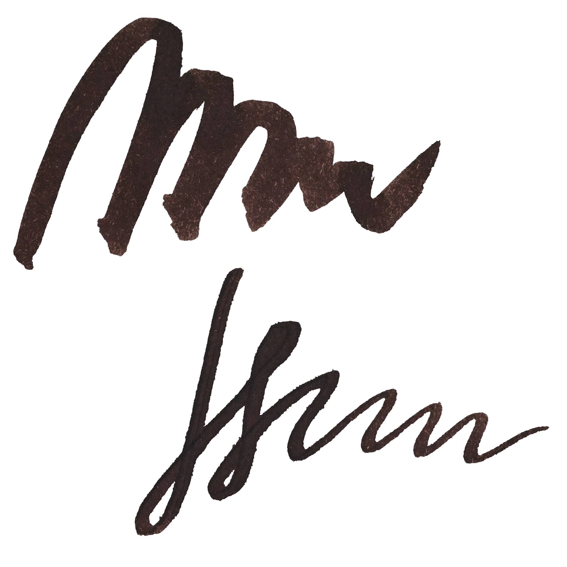 Sailor USA State Ink - Idaho, Brown, 20 ml, swatch