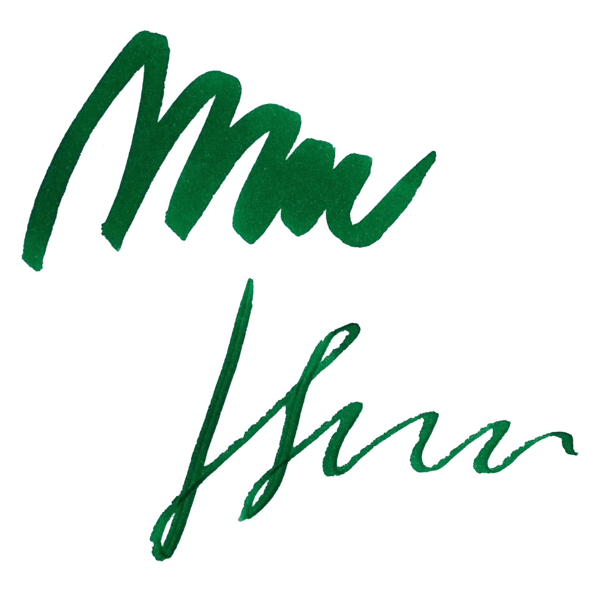 Kaweco Fountain Pen Ink - Palm Green, swatch
