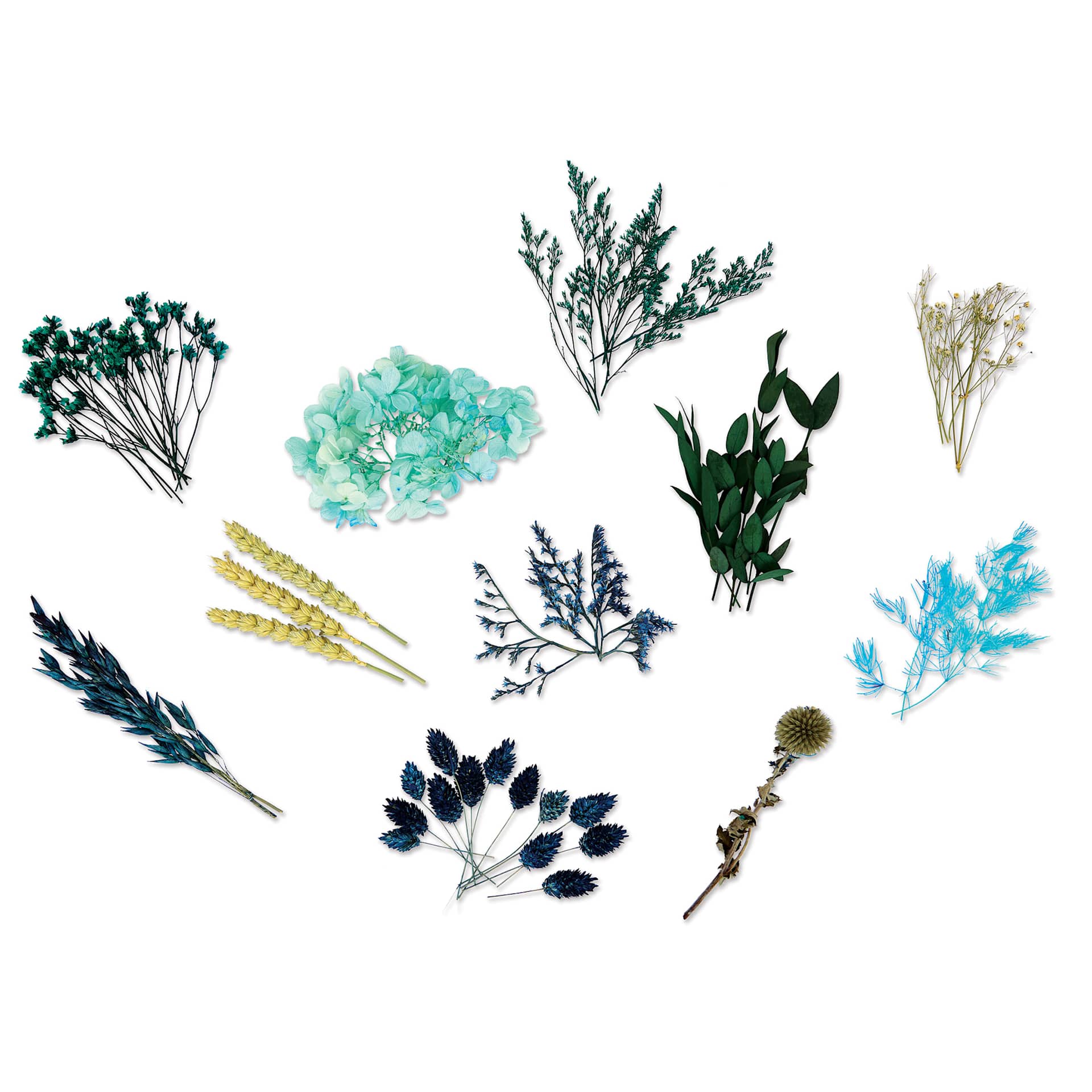 Colorberry Dried Flower Collection Resin Additives - Blue and Green, example of included flowers