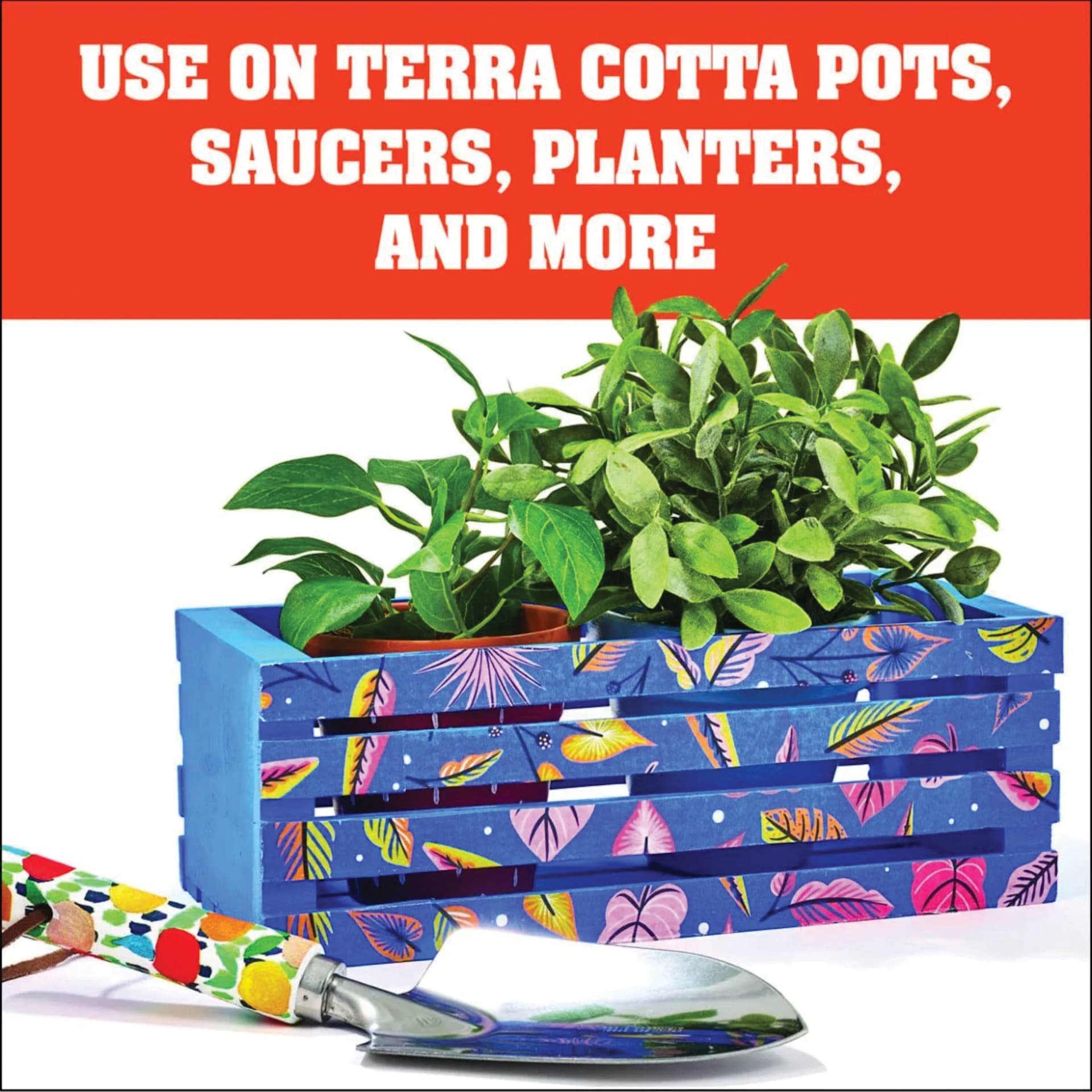 Use on Terra Cotta Pots, Saucers, Planters, And More