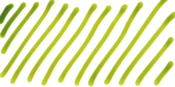 Pebeo Vitrea 160 Glass Paint - Sandalwood Green swatch