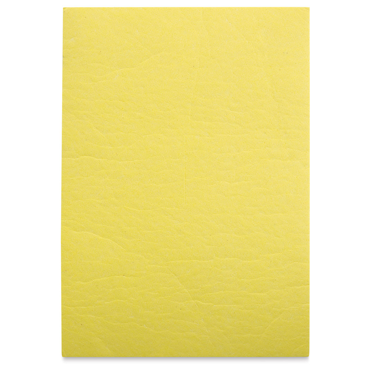 Masterson Sta-Wet Premier Palette - Sponge Insert - out of packaging